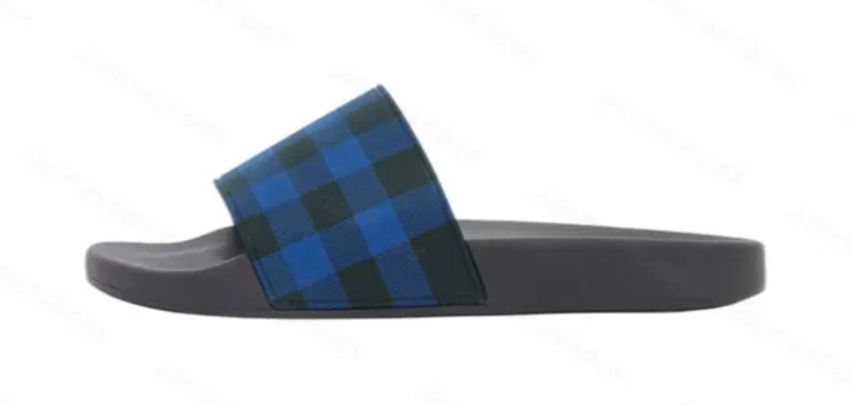 Berry Slides