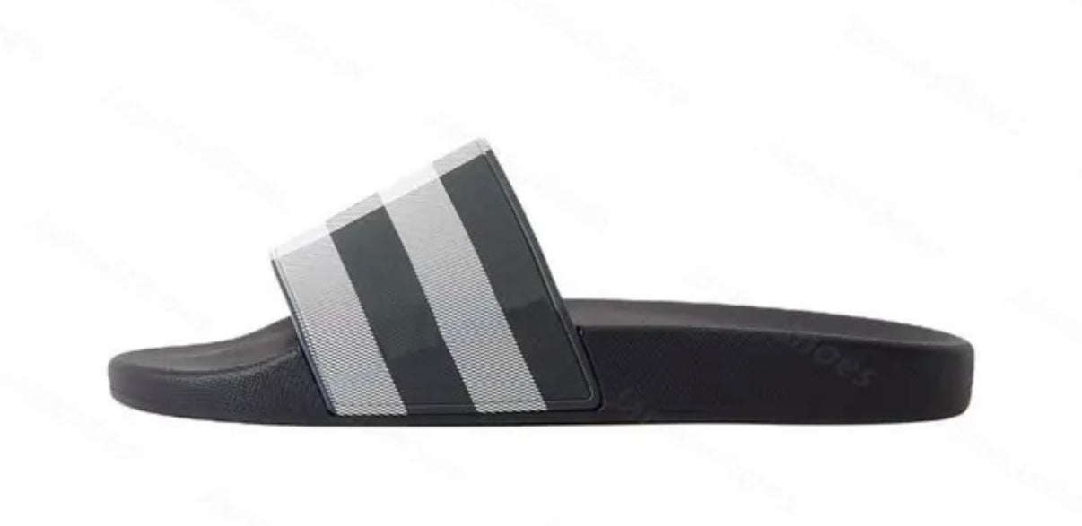 Berry Slides